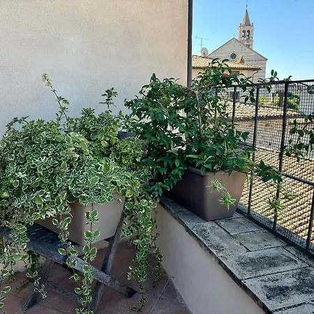 La Zuppa 2*