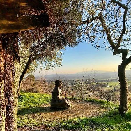 La Zuppa Bed & Breakfast 3*